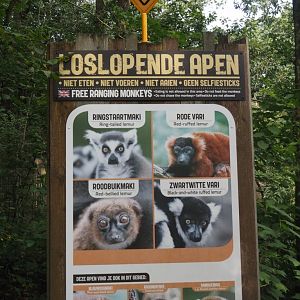 Madagascar area species signage, 2024-08-18