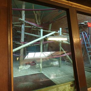 Lope’s former house 7.7.24