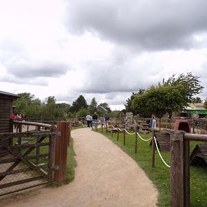 Goat walkthrough 7.7.24