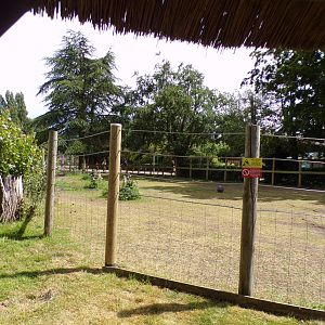 Zebra enclosure 7.7.24