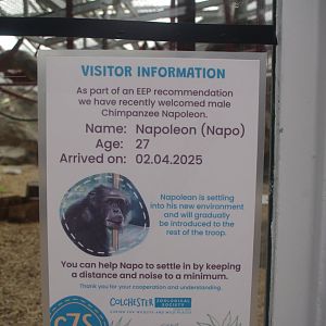Notice in Chimpanzee Lookout- 10/4/2025