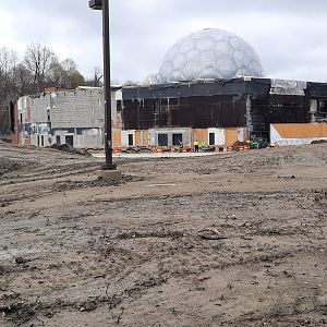 Primate Forest Construction 4/8 (1)