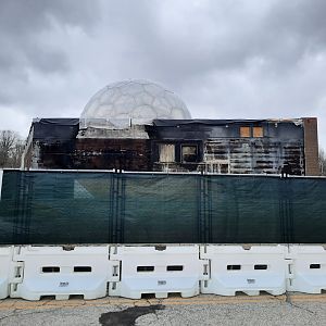 Primate Forest Construction 4/8 (3)