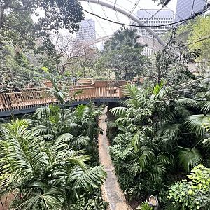 Overview of the Edward Youde Walkthrough Aviary