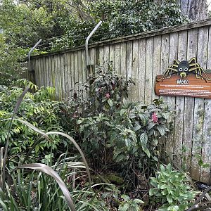 Weta Garden