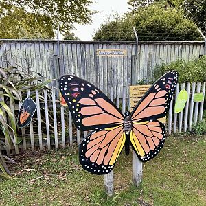 Monarch Butterfly Garden