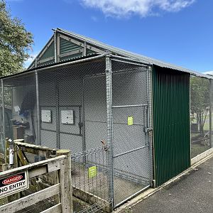 Owl Aviaries (Rear/Keeper Access)