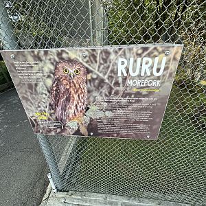 Morepork Signage