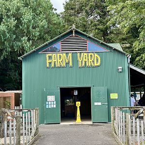 Reptile/Amphibian House