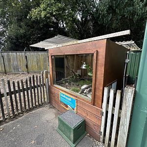 Scheltopusik Exhibit