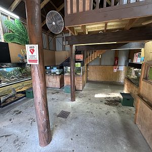 Reptile/Amphibian House (Interior)