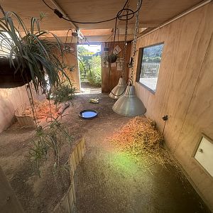 Leopard Tortoise House (Interior)