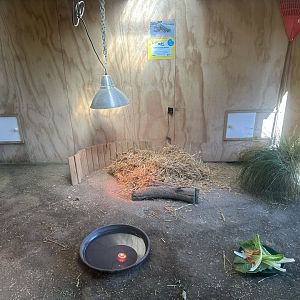 Leopard Tortoise House (Interior)
