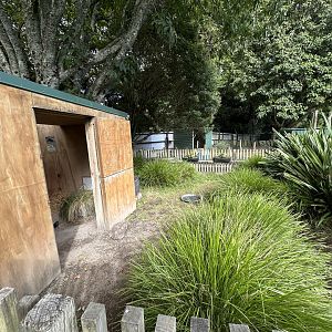 Leopard Tortoise Exhibit