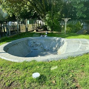 Old Capybara Exhibit