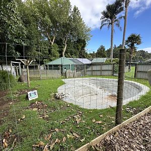 Old Capybara Exhibit