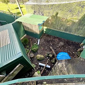 Asian Small-Clawed Otter Separation Exhibit