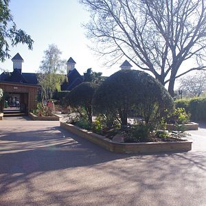 General view of the area near the entrance- 10/4/2025