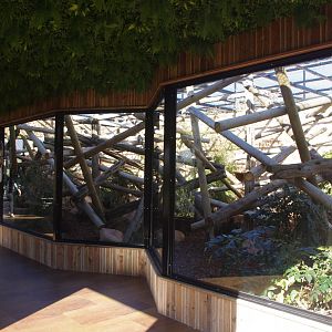 New viewing windows- Capuchin Climb- 10/4/2025