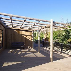 Secondary capuchin outdoor viewing area-  Capuchin Climb- 10/4/2025