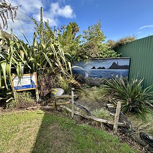 Little Blue Penguin Garden