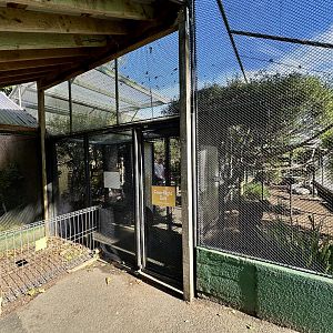 Freeflight Aviary (Exit)