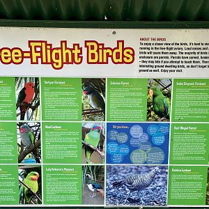 Freeflight Aviary - Species List