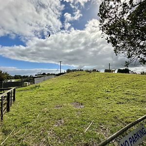 Alpaca Exhibit (View from Carpark)