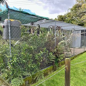 Cockatoo/Galah Aviary