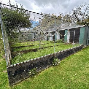Parakeet/Pigeon Aviaries
