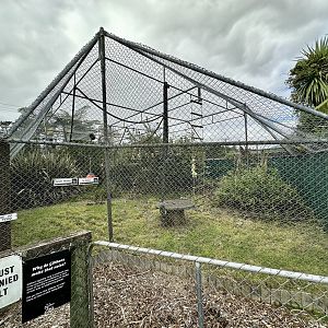 Lar Gibbon/Spider Monkey Exhibit