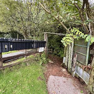 New Zealand Bushwalk Entrance