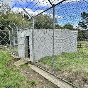 African Lion Complex - North Dens