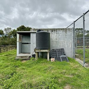 African Lion Complex - North Dens