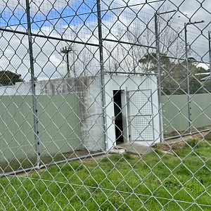 African Lion Complex - South Dens