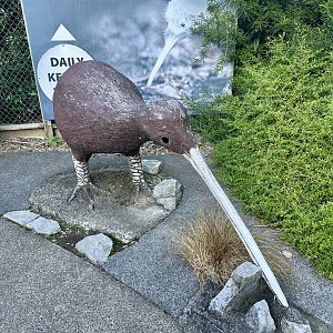 Kiwi Statue
