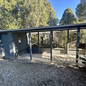 Antipodes Island Parakeet Aviary