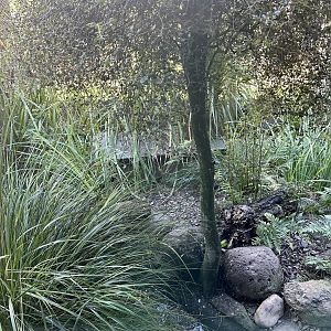 New Zealand Kingfisher Exhibit