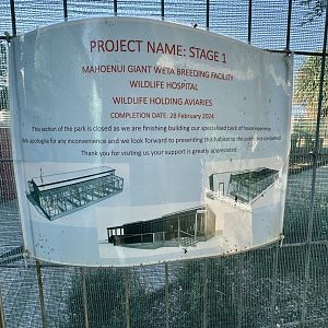 Upcoming Project - Wildlife Holding Aviaries