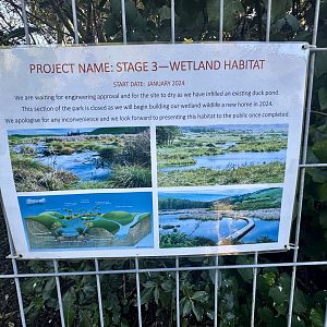 Upcoming Project - Wetland Exhibit