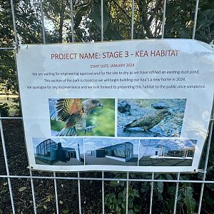 Upcoming Project - Kea Exhibit