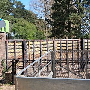 Warty pigs/spotted deer enclosure