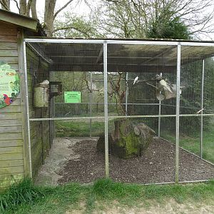 Parakeet aviary - Parc animalier d'Ecouves