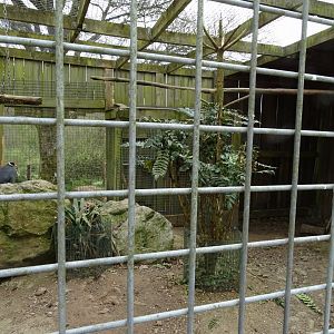 Aviary - Parc animalier d'Ecouves