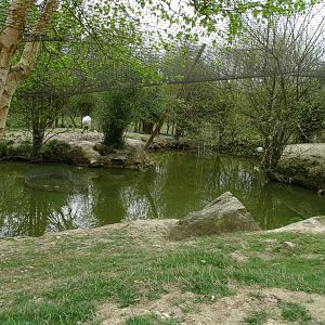 Red-crowned crane aviary (Grus japonensis)- Parc animalier d'Ecouves
