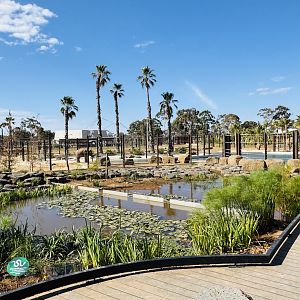 Elephant Trail (New): general landscaping of main elephant enclosure