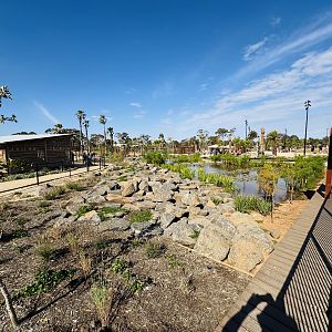 Elephant Trail (New): general landscaping of main enclosure