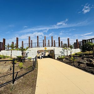 Elephant Trail (New): second overhead elephant bridge