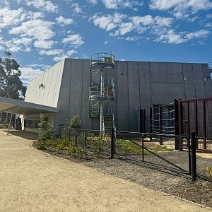 Elephant Trail (New): main elephant barn