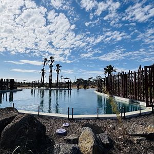 Elephant Trail (New): main elephant enclosure pool